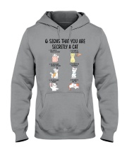 6 Signs That You Are Secretly A Cat Hooded Sweatshirt tile