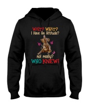 I Have an Attitude Hooded Sweatshirt tile