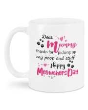 Limited Edition Mug back