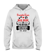 Limited edition Hooded Sweatshirt tile