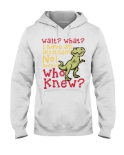 Limited edition Hooded Sweatshirt tile