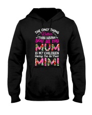 Limited Edition Hooded Sweatshirt tile