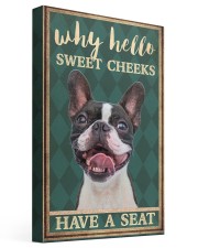 Boston Terrier why hello 16x24 Gallery Wrapped Canvas Prints front