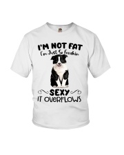 I m not fat sexy Collie Youth T-Shirt thumbnail