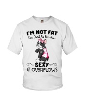 Boston Terriers - I m not fat Youth T-Shirt thumbnail