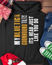 Bluetick Coonhound Hooded Sweatshirt custom-hoodie-sweatshirt-lifestyle-front-231