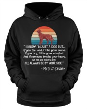 Irish Setter Hooded Sweatshirt apparel-hooded-sweatshirt-lifestyle-front-34
