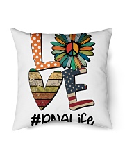 PNA Life Indoor Pillow