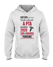 PTA - Physical Therapist Assistant Hooded Sweatshirt tile