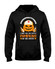 Nurse Practitioner - NP Hooded Sweatshirt tile