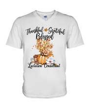 Lactation Consultant V-Neck T-Shirt tile