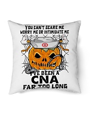 CNA Indoor Pillow tile