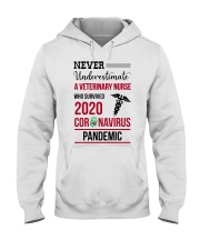 Veterinary Nurse Hooded Sweatshirt tile