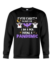 PCA Crewneck Sweatshirt tile