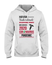 OT - Occupational Therapist Hooded Sweatshirt tile