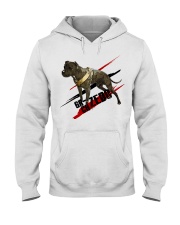 GR CH ZEBO ROM Hooded Sweatshirt thumbnail