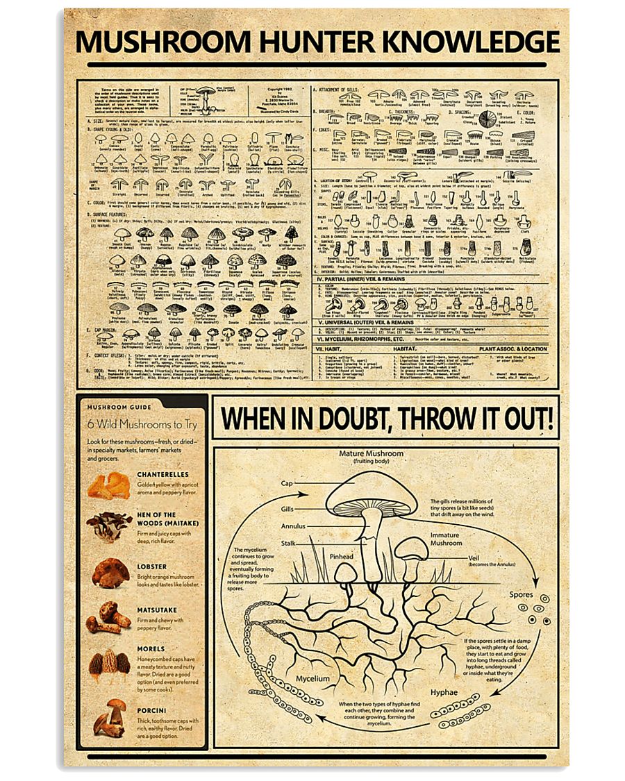 Mushroom Hunter Knowledge 11x17 Poster