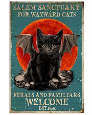 Salem sanctuary for wayward cats 11x17 Poster front