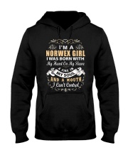 Norwex Hooded Sweatshirt thumbnail