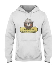 Limited Edition Hooded Sweatshirt thumbnail