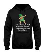 SHENANIGATOR Hooded Sweatshirt thumbnail