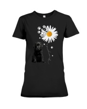 Newfoundland Dog Premium Fit Ladies Tee tile
