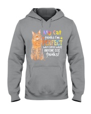 My Cat Thinks I'm Perfect Hooded Sweatshirt tile