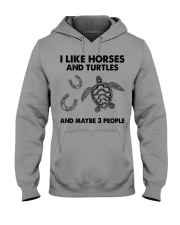i like horses and turtles Hooded Sweatshirt front