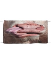 1 DAY LEFT - GET YOURS NOW Cloth face mask front