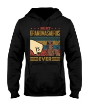 GRANDMASAURUS - DINOSAUR - VINTAGE Hooded Sweatshirt thumbnail
