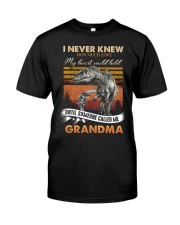 Grandma - Dinosaurs - I Never Knew How Much Love Classic T-Shirt front