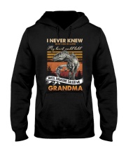Grandma - Dinosaurs - I Never Knew How Much Love Hooded Sweatshirt tile