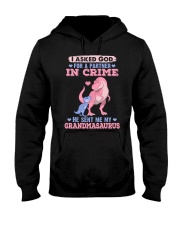 I asked God for a partner in crime Hooded Sweatshirt thumbnail