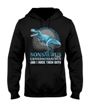 T-SHRT - TO BOYS - T REX - HAVE TWO TITLES Hooded Sweatshirt thumbnail