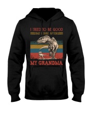 TO GRANDSON - T REX - TAKE AFTER Hooded Sweatshirt thumbnail