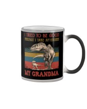 TO GRANDSON - T REX - TAKE AFTER Color Changing Mug thumbnail