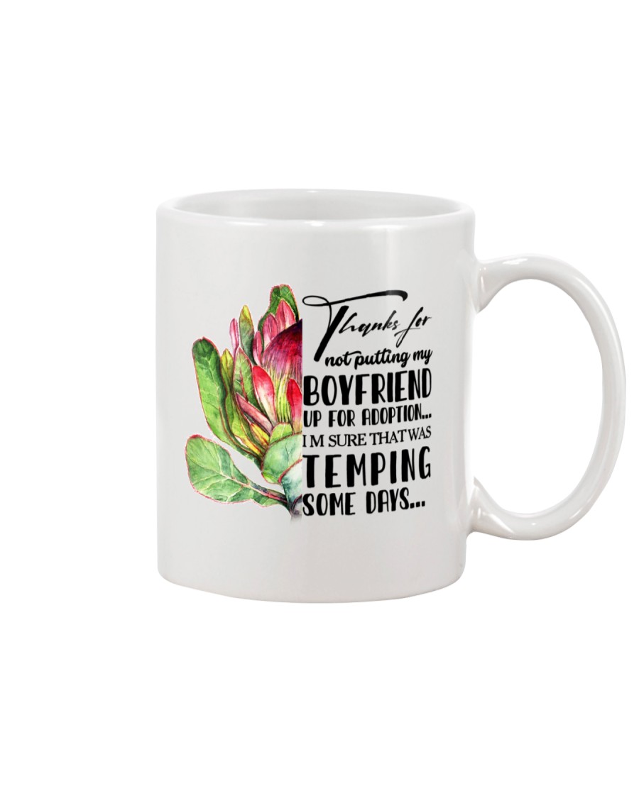 TO FUTURE MOTHER-IN-LAW - PROTEA - THANKS FOR Mug