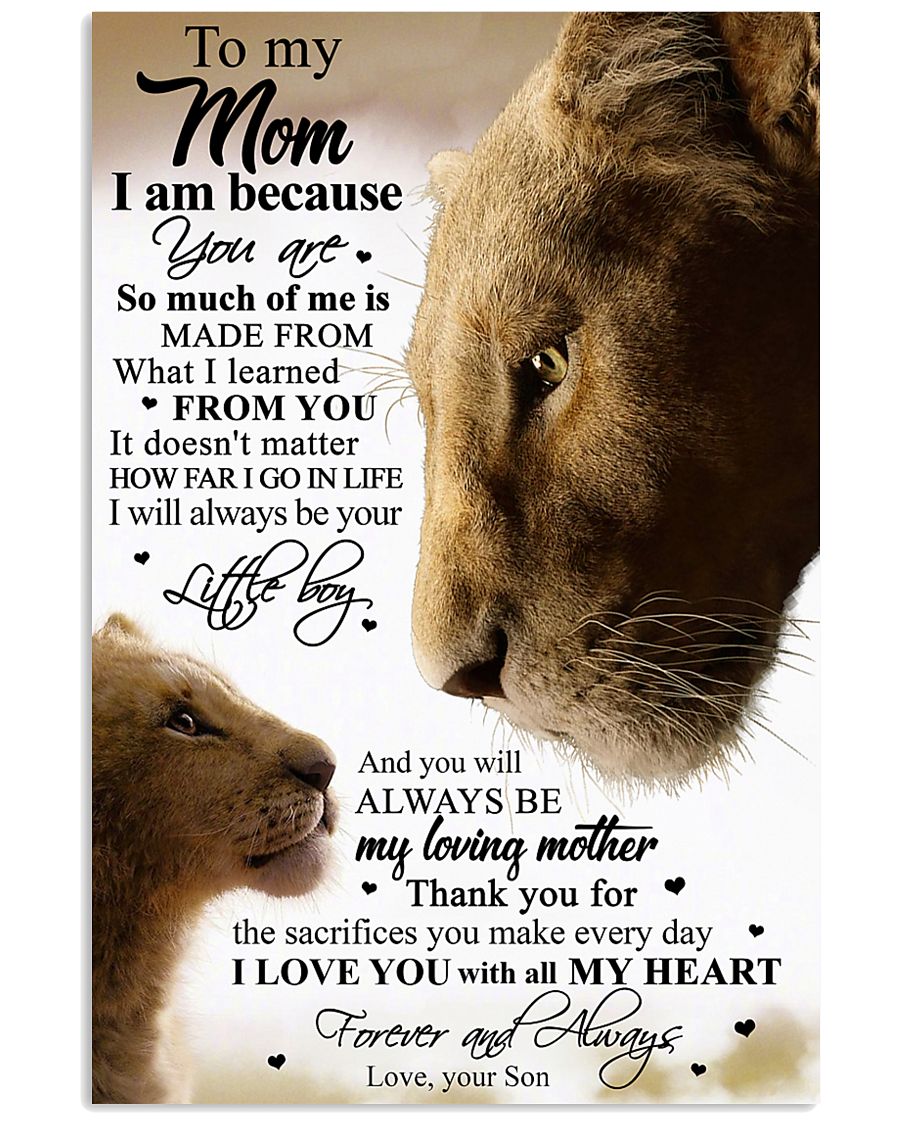 SON TO MOM 16x24 Poster