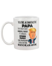 You're a Fantastic Papa Mug back