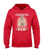 GREYHOUND Hooded Sweatshirt front