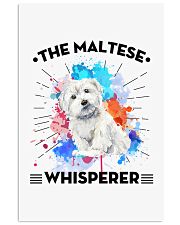 MALTESE 11x17 Poster thumbnail