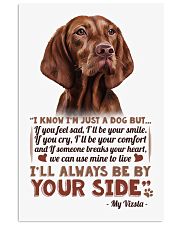 Vizsla 11x17 Poster thumbnail