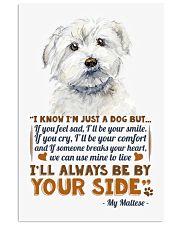Maltese 11x17 Poster thumbnail