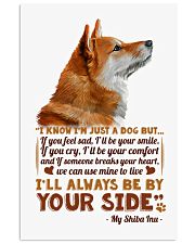 Shiba 11x17 Poster thumbnail
