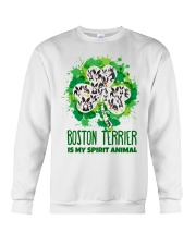 BOSTON Crewneck Sweatshirt thumbnail