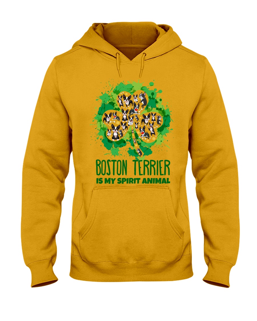 BOSTON Hooded Sweatshirt
