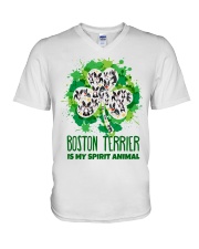 BOSTON V-Neck T-Shirt thumbnail