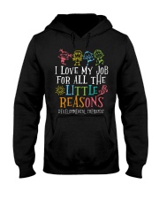 Developmental Therapist Hooded Sweatshirt tile