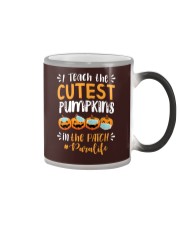 Paraprofessional Color Changing Mug tile