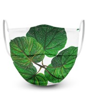 Green Plant 3 Layers Mask 3 Layer Face Mask - Single front